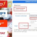 ¿Cómo saber a que AFP pertenezco y cuanto dinero tengo aportado?