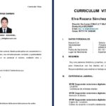 ¿Cómo elaborar un curriculum en Word O PDF en Perú?